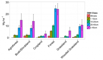 AGWB broken down by DBH class for each land use/cover type.  The vast majority of biomass is stored in large trees, despite fewer of them existing on the landscape.