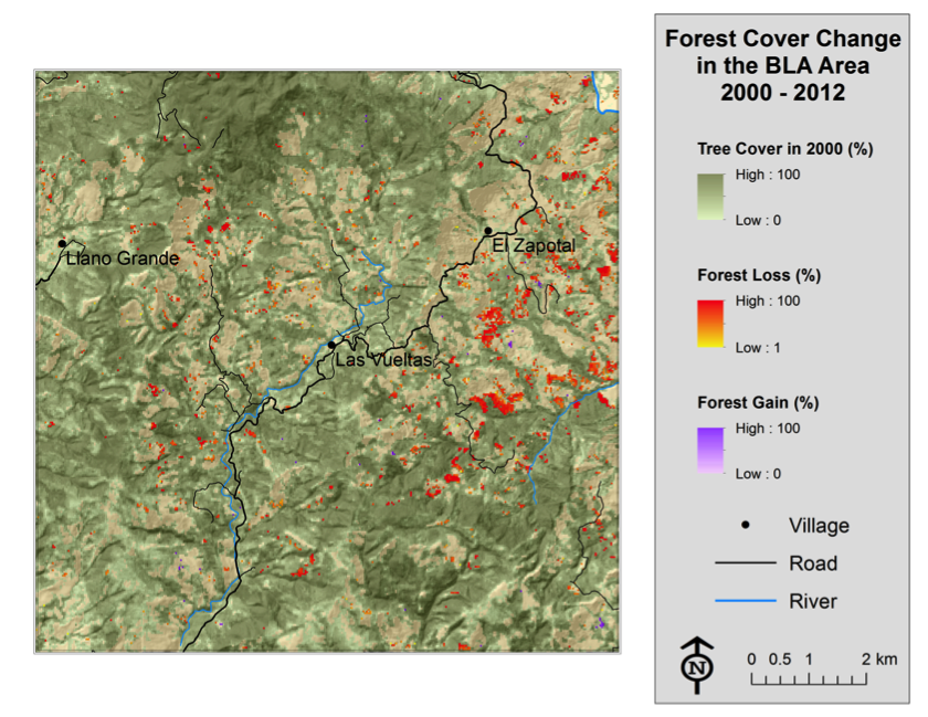 Loss of tree cover across the BLA area estimated with data published by Hansen et al. (2013) using Landsat satellite imagery